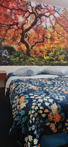 Bedroom 5, El Valle, Copiapó