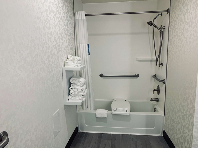 Bathroom 4, Hampton Inn Fort Stockton, Pecos