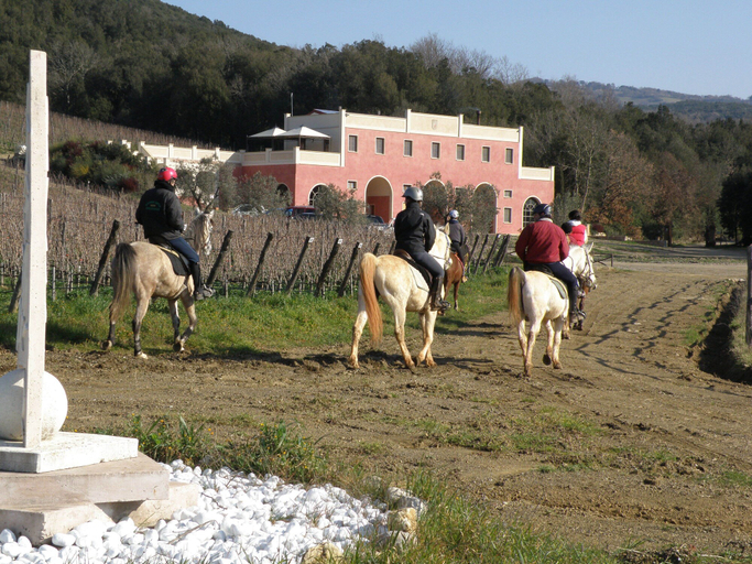 Exterior & Views 2, Tenuta il Sassone - Wine & Food, Grosseto