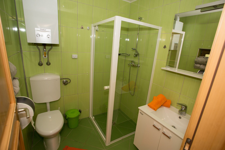 Bathroom 3, Apartments and wellness center Korošec, Mozirje