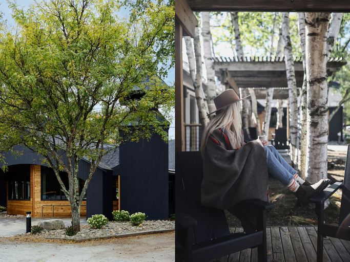 Exterior & Views 2, Tälta Lodge, A Bluebird by Lark, Lamoille