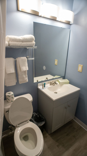 Bathroom 5, Ashley Motel, Hendricks
