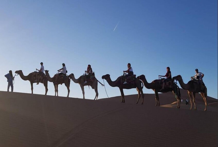 Others 5, Majorelle Desert Camp, Ouarzazate