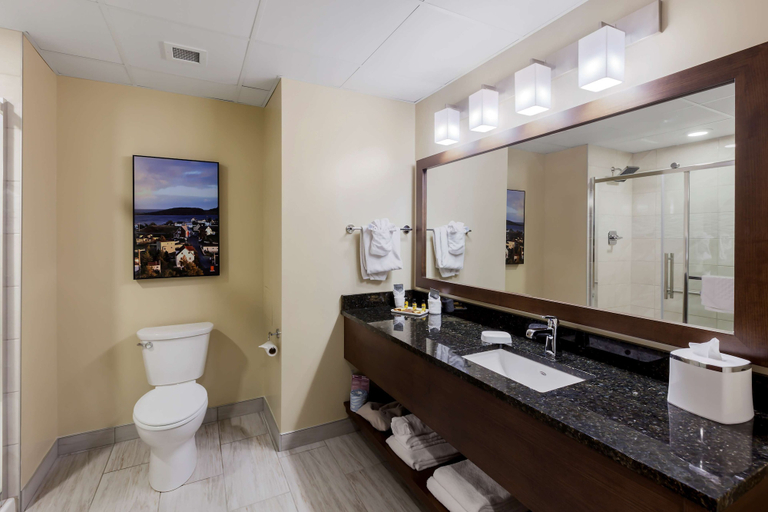 Bathroom 5, Best Western Plus St. John's Airport Hotel and Suites, Division No. 1