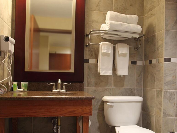 Bathroom, WinnaVegas Casino & Resort, Woodbury
