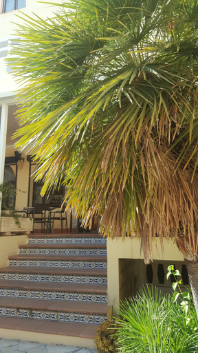 Exterior & Views 2, Mamboo Hotel Cala Ratjada, Baleares