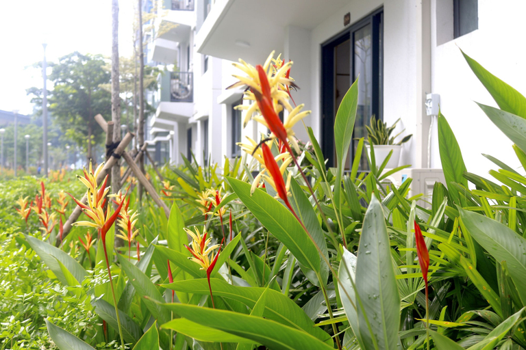 Exterior & Views, Spacious and Modern Service Apartment in Hochiminh, Tan Phu