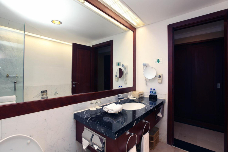 Bathroom 5, Beijing Hotel, Beijing