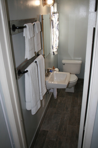 Bathroom 4, Harry's Man Cave: The New Star Motel Experience, Riverside