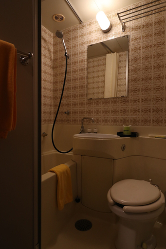 Bathroom 4, Hotel New Yama, Nagano