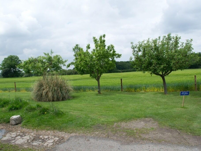 Others 5, Woodview Bed & Breakfast, Essex