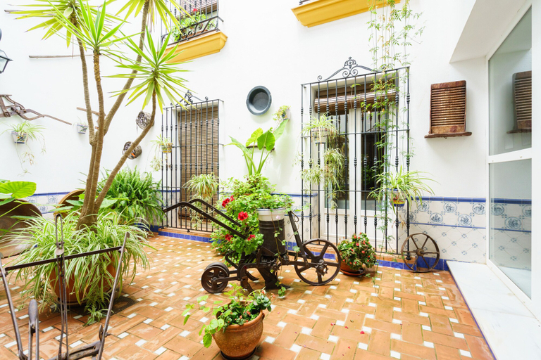 Others 5, Hostal Ciudad Trigueros, Huelva