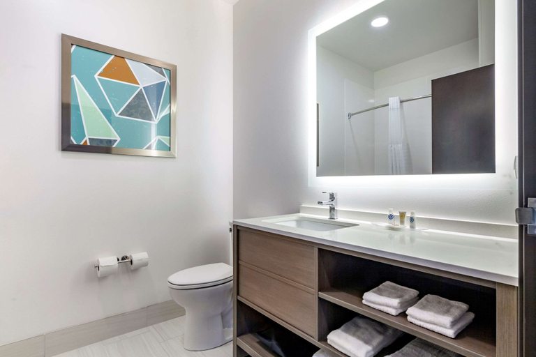 Bathroom 4, Comfort Suites Cottage Grove – Madison, Dane