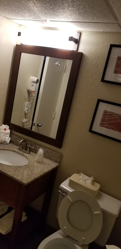 Bathroom 4, Comfort Inn Wethersfield - Hartford, Hartford