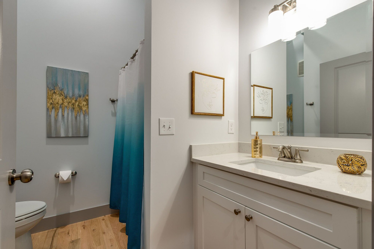 Bathroom 2, The Majestic Lofts, Davidson