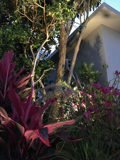 Exterior & Views 2, Miami Beach 550, Miami-Dade
