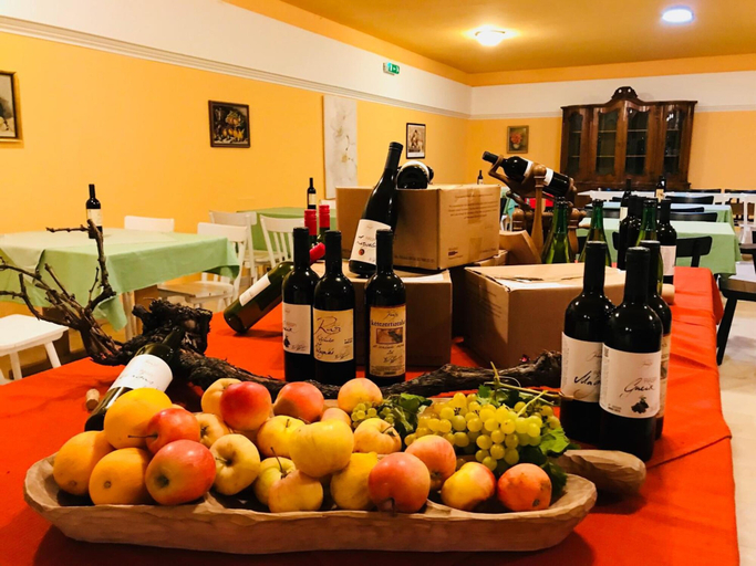 Food & Drinks 5, Pension MATE, Eisenstadt Umgebung