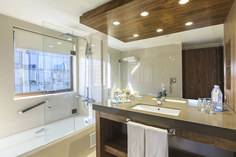 Bathroom 5, Regal Pacific Hotel Santiago, Cordillera
