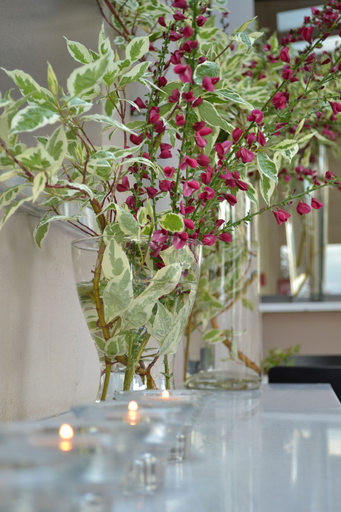 Food & Drinks, Ellopia Point Hotel, Epirus