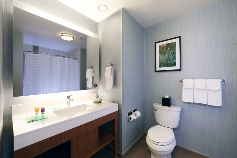Bathroom, Hyatt Place Flushing/LaGuardia Airport, New York