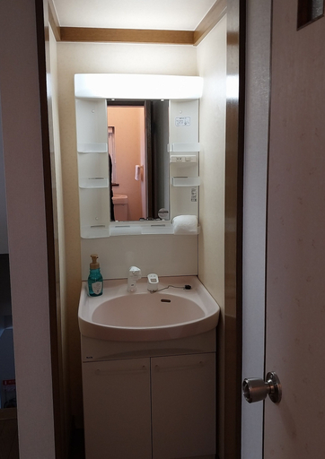Bathroom 4, Miyuki Townhouse, Furano
