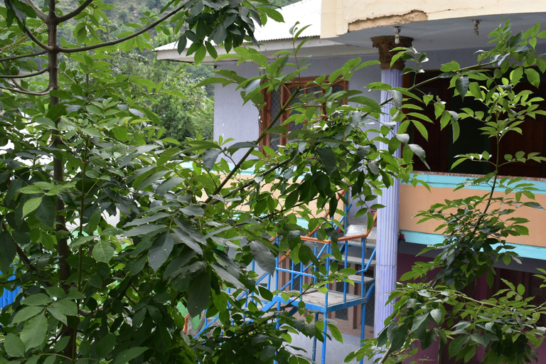 Exterior & Views, Mid Valley Guest House, Gujranwala