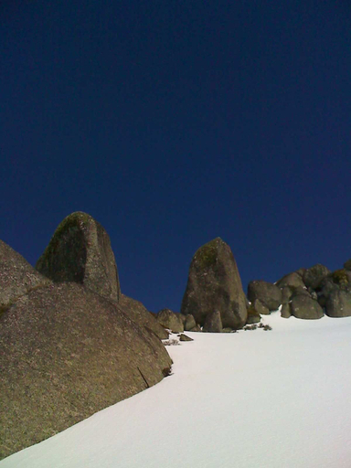 Others 5, tyrola 4, Snowy River