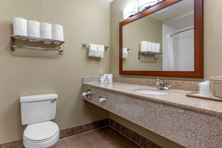 Bathroom 4, Comfort Suites Waco Near University Area, McLennan