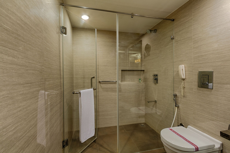 Bathroom 5, Quality Hotel D V Manor, Krishna