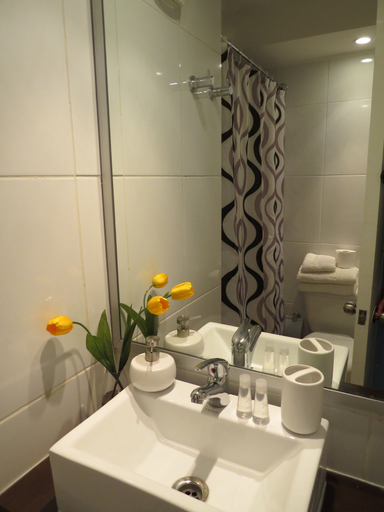 Bathroom 4, Apartments Monjitas, Santiago