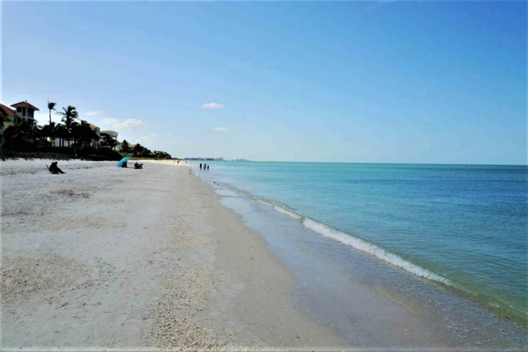 Others 5, Beach & Tennis 3701, Lee