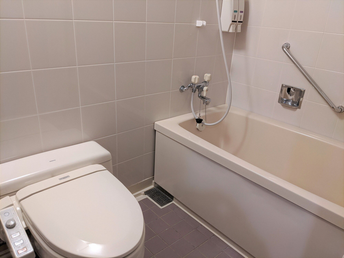 Bathroom 5, Toyama Jiyukan, Toyama