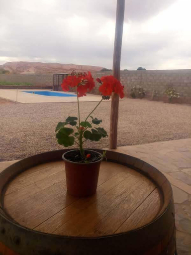 Sport & Beauty 5, Tiunur Lodge, El Loa