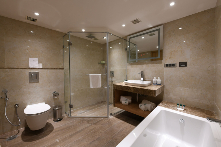 Bathroom 4, Harsha The Fern Shivamogga, Shimoga