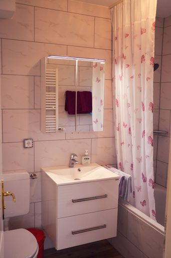 Bathroom 5, Hotel Garni Regina, Forchheim