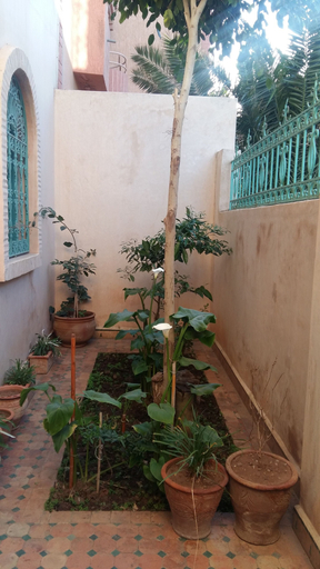 Others 4, Villa samira, Essaouira