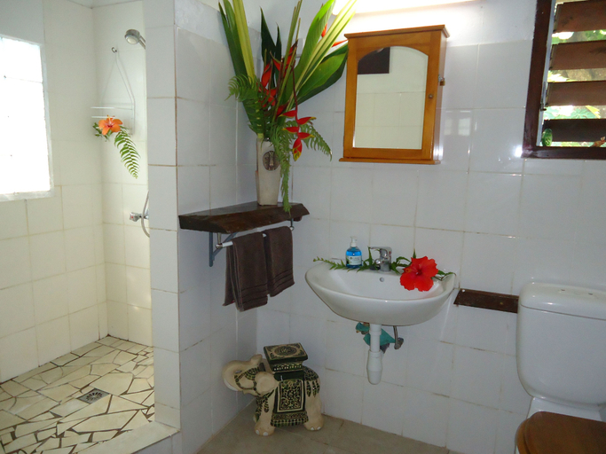 Bathroom 4, Troppo Mystique, Erakor