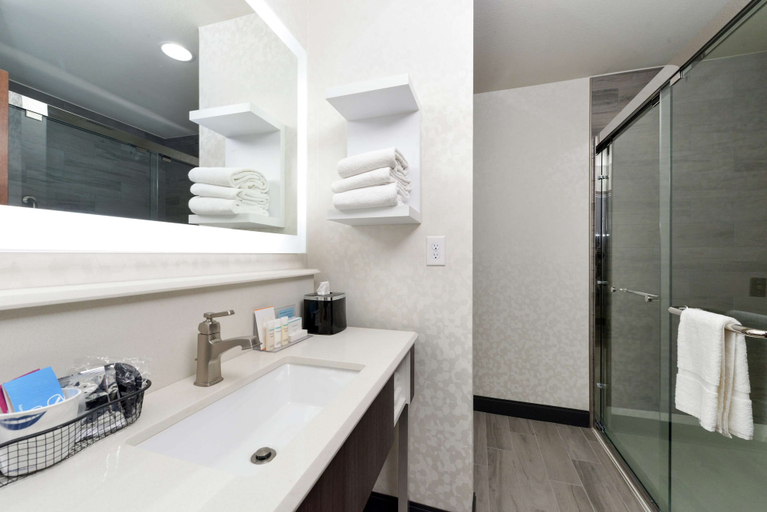 Bathroom 4, Hampton Inn Fort Stockton, Pecos