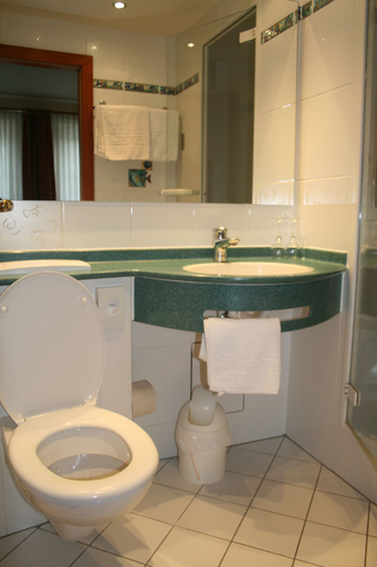 Bathroom 4, Gourmet & Relax Hotel De La Sure, Wiltz
