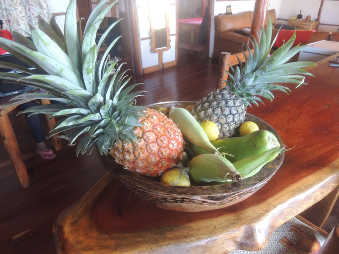 Food & Drinks 4, Duna Lodge, Jangamo