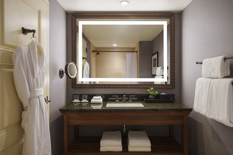 Bathroom 5, Omni Fort Worth Hotel, Fort Worth