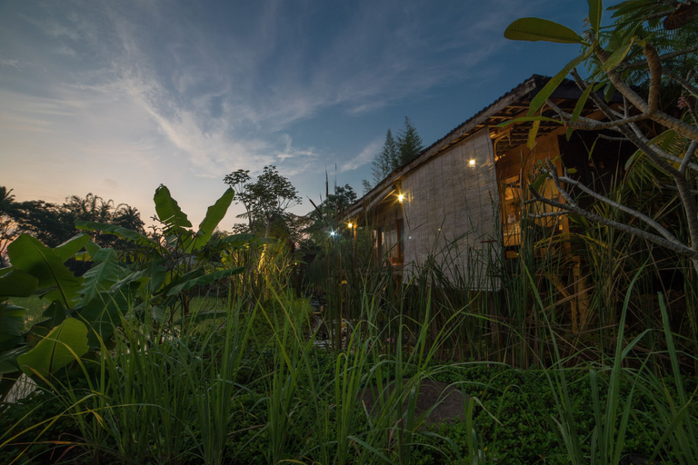 Exterior & Views 2, Rumah Jembarati, Sleman