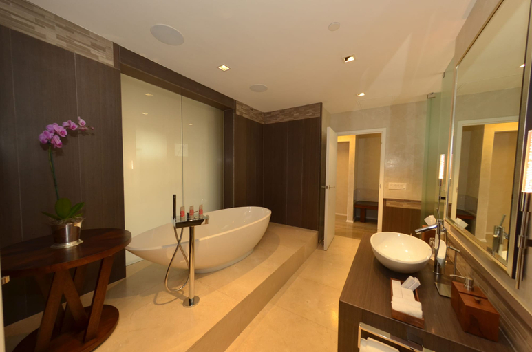 Bathroom 4, Royal Blues Hotel, Broward