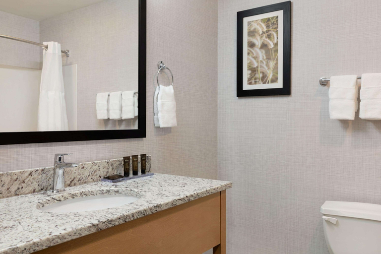 Bathroom 4, Wingate by Wyndham Lethbridge, Division No. 2
