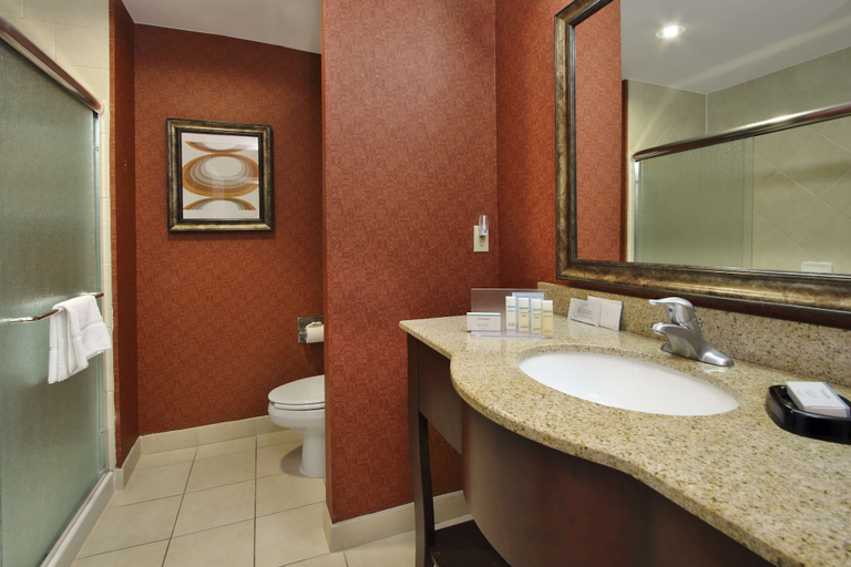 Bathroom 4, Hampton Inn & Suites Conroe - I-45 North, Montgomery