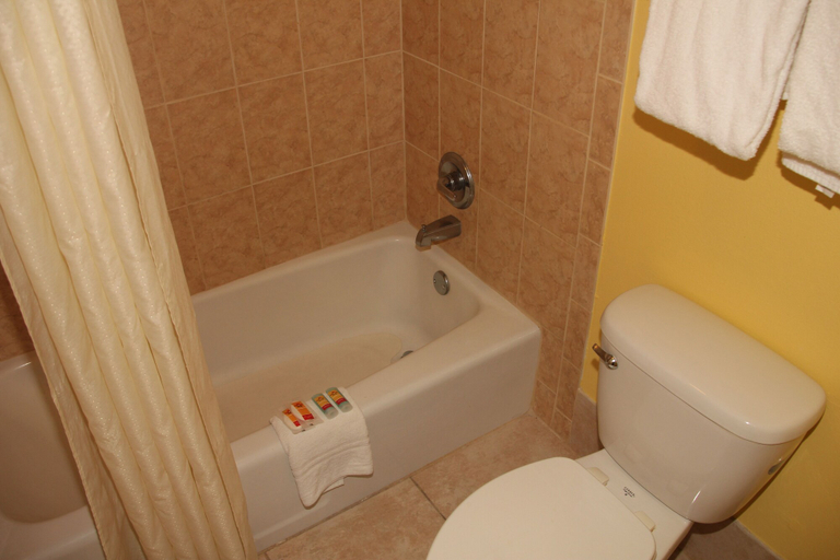 Bathroom, Cruise Port Inn, Brevard