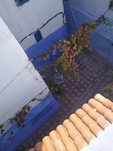 Exterior & Views 2, Casa Blue Star, Chefchaouen