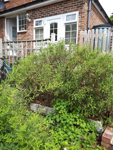 Exterior & Views, 1 Bed Flat - Sleeps 2 - Pets - Garden - Parking, East Sussex