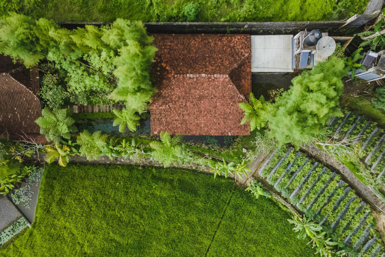 Exterior & Views 2, Rumah Jembarati, Sleman
