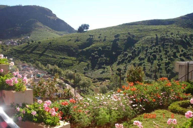 Others 4, ONELOVEDALE Blusalz Homes, The Nilgiris